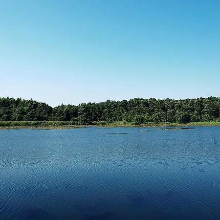 Fala W Kopalinie Daire