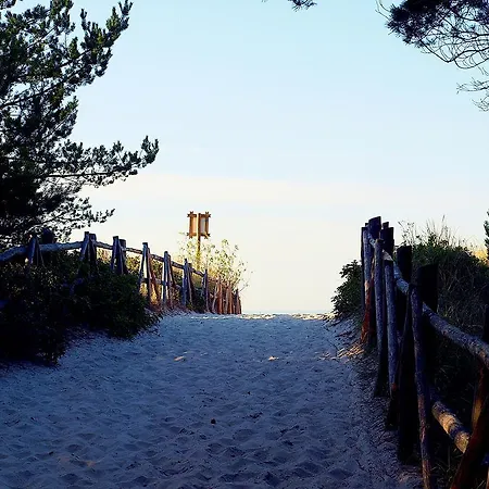 Fala W Kopalinie Daire