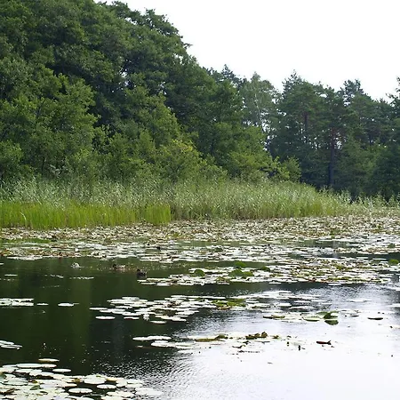 Fala W Kopalinie Daire *