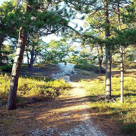 Fala W Kopalinie Daire