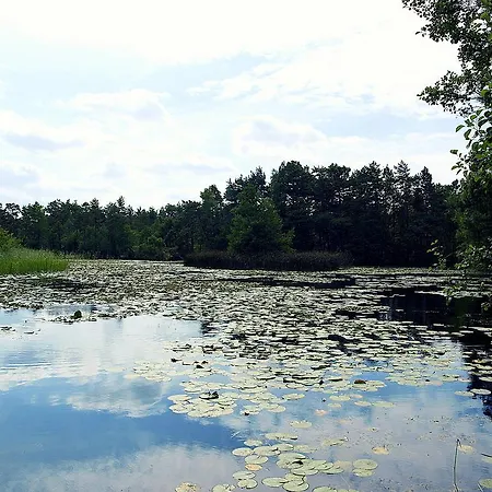 Daire Fala W Kopalinie *