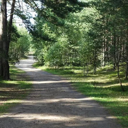 Daire Fala W Kopalinie Lubiatowo (Pomerania)