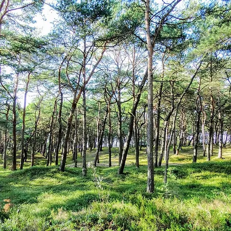 Fala W Kopalinie * Lubiatowo (Pomerania)