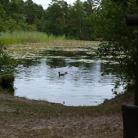 Daire Fala W Kopalinie