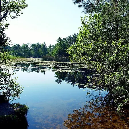 Fala W Kopalinie Daire Lubiatowo (Pomerania)
