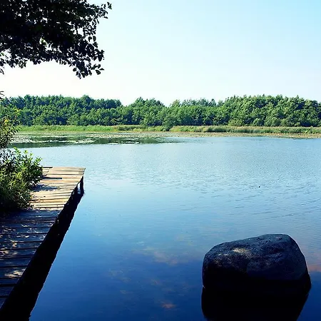 Daire Fala W Kopalinie *