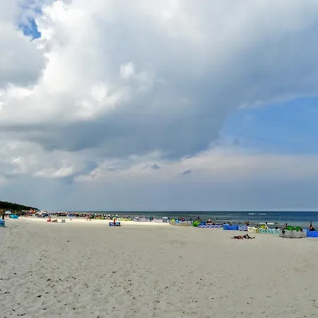 Daire Fala W Kopalinie