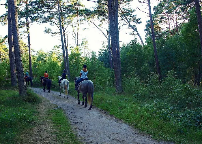 Fala W Kopalinie لوبيتاتو