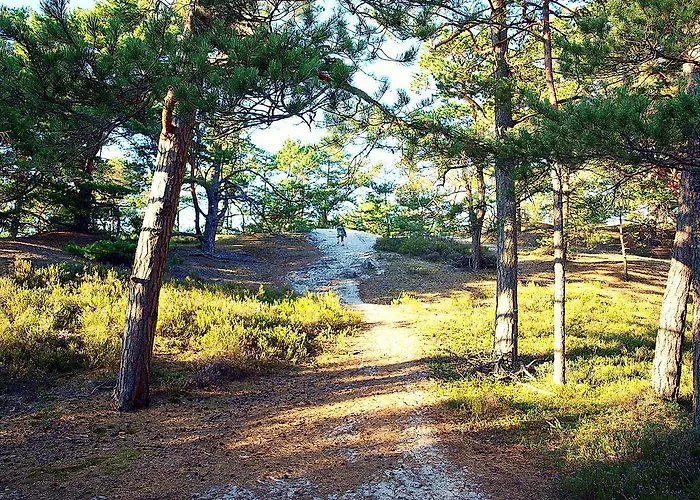 Fala W Kopalinie شقة