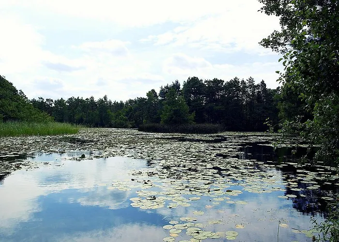 شقة Fala W Kopalinie *