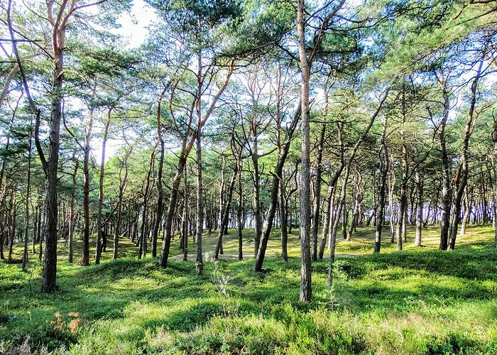 Fala W Kopalinie * لوبيتاتو