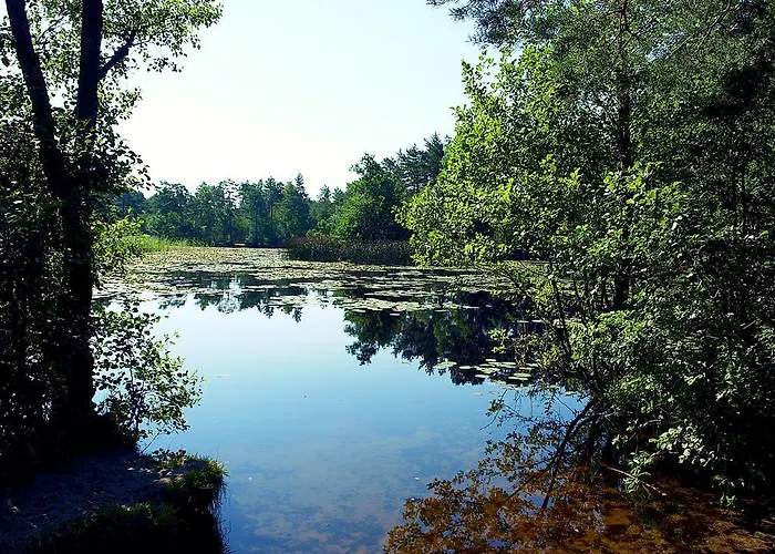 Fala W Kopalinie شقة لوبيتاتو